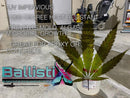 BallistiX NCO (Satin) - Pint/Quart/Gallon