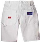 Painter’s Shorts