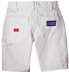 Painter’s Shorts