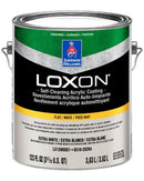Loxon Self-Cleaning Acrylic Coating
