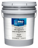 Pro Industrial Waterborne Acrylic Dryfall